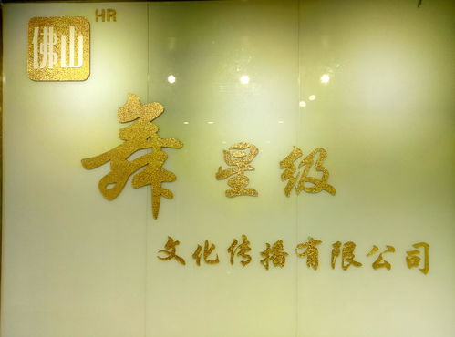 佛山舞星級文化傳播 融合傳統與現代的藝術使者